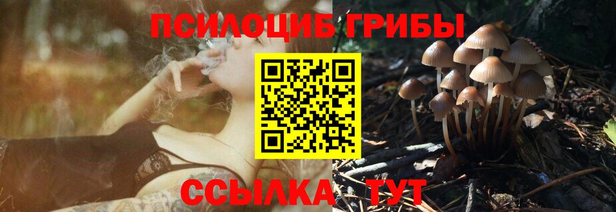 Дедовск  Галлюциногенные грибы ЛСД  Вход с VPN 